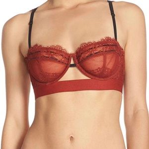 NWT Free People Cinnamon open back Bra 36DD